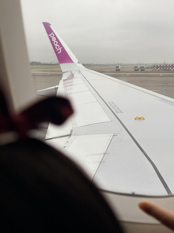 飛機機翼黃色小掛鈎有何用途? 必要時刻竟是「救命神物」!