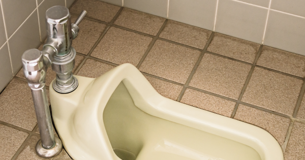 日本廁所傳統沖水掣用法惹熱議！用手按定用腳踩？日本衛浴大廠公布正確用法 