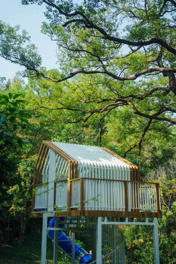 (圖片來源:小紅書@ 三无青年(流浪版)) 深圳郊遊好去處|深圳南灣郊野公園未開先紅!原生態郊野徑+親子遊樂設施