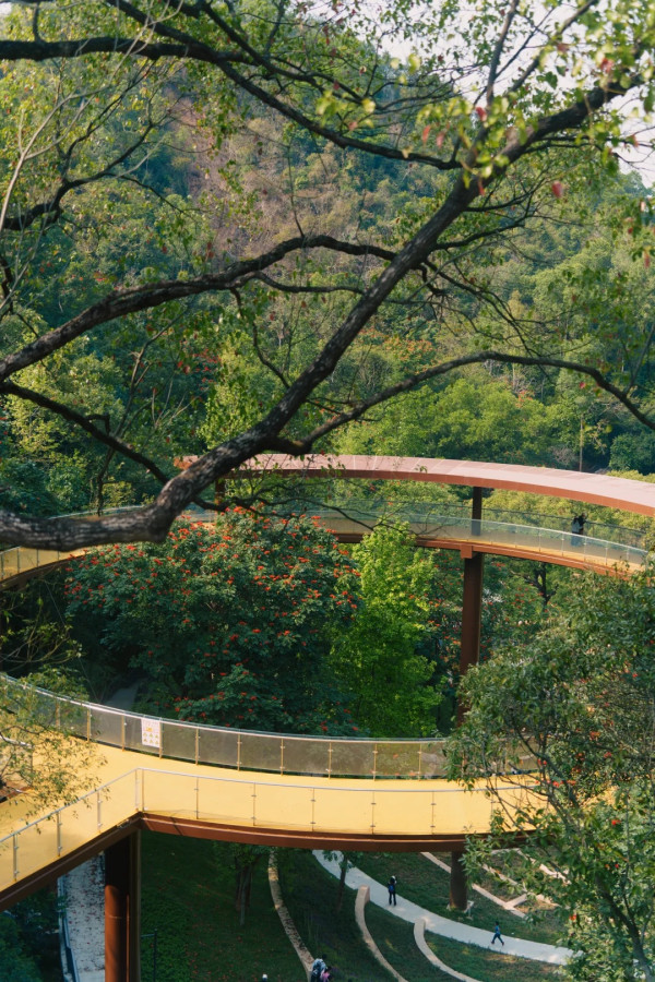 (圖片來源:小紅書@ 三无青年(流浪版)) 深圳郊遊好去處|深圳南灣郊野公園未開先紅!原生態郊野徑+親子遊樂設施
