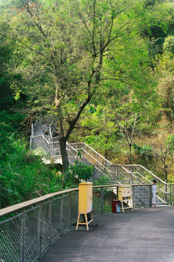 (圖片來源:小紅書@ 三无青年(流浪版)) 深圳郊遊好去處|深圳南灣郊野公園未開先紅!原生態郊野徑+親子遊樂設施