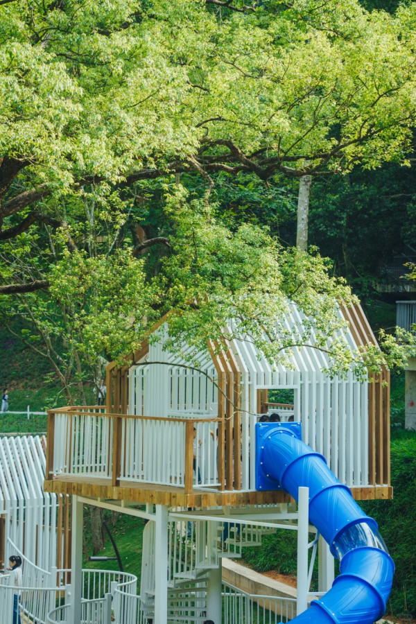 (圖片來源:小紅書@ 三无青年(流浪版)) 深圳郊遊好去處|深圳南灣郊野公園未開先紅!原生態郊野徑+親子遊樂設施