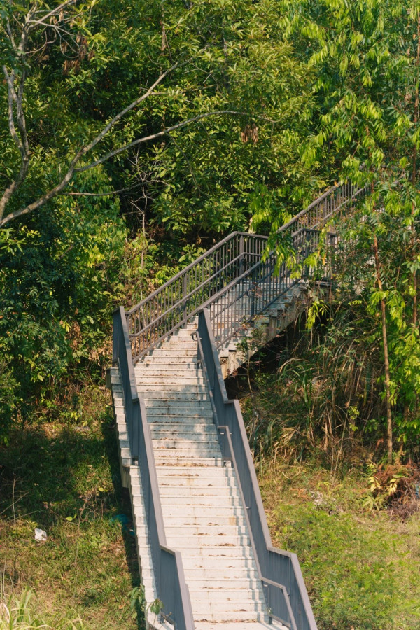 (圖片來源:小紅書@ 三无青年(流浪版)) 深圳郊遊好去處|深圳南灣郊野公園未開先紅!原生態郊野徑+親子遊樂設施