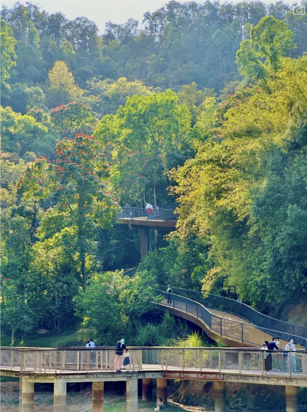 深圳郊遊好去處|深圳南灣郊野公園未開先紅!原生態郊野徑+親子遊樂設施