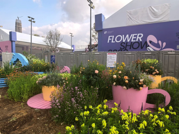 (圖片來源:小紅書@修勾巧克力) 2026粵港澳大灣區花展全攻略!必看莫奈花船、浪漫鳶尾花海