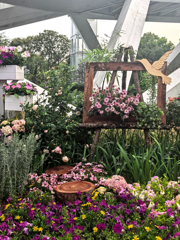 (圖片來源:小紅書@修勾巧克力) 2026粵港澳大灣區花展全攻略!必看莫奈花船、浪漫鳶尾花海