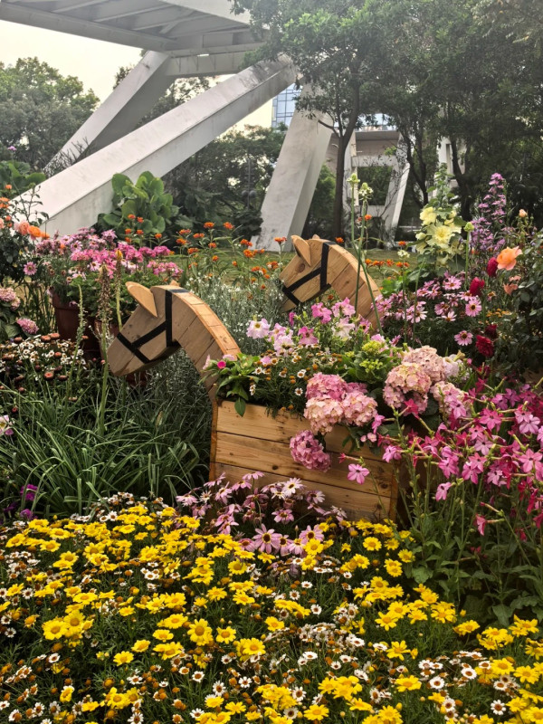 (圖片來源:小紅書@修勾巧克力) 2026粵港澳大灣區花展全攻略!必看莫奈花船、浪漫鳶尾花海