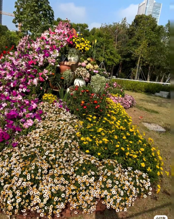 (圖片來源:小紅書@周末好去处668) 2026粵港澳大灣區花展全攻略!必看莫奈花船、浪漫鳶尾花海