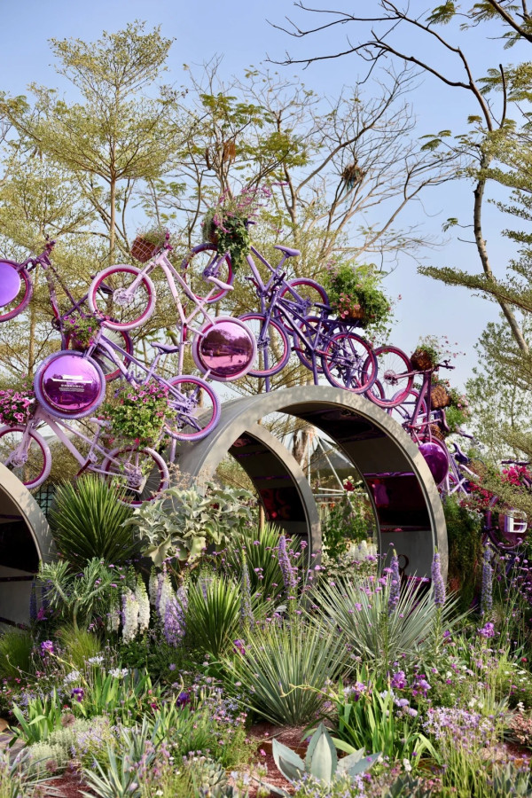 (圖片來源:小紅書@素年锦时📷) 2026粵港澳大灣區花展全攻略!必看莫奈花船、浪漫鳶尾花海