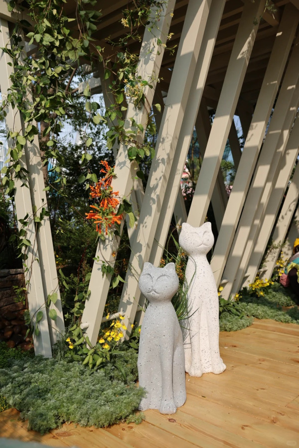 (圖片來源:小紅書@素年锦时📷) 2026粵港澳大灣區花展全攻略!必看莫奈花船、浪漫鳶尾花海