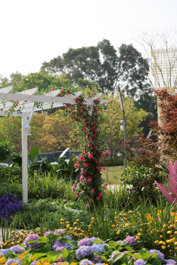 (圖片來源:小紅書@素年锦时📷) 2026粵港澳大灣區花展全攻略!必看莫奈花船、浪漫鳶尾花海