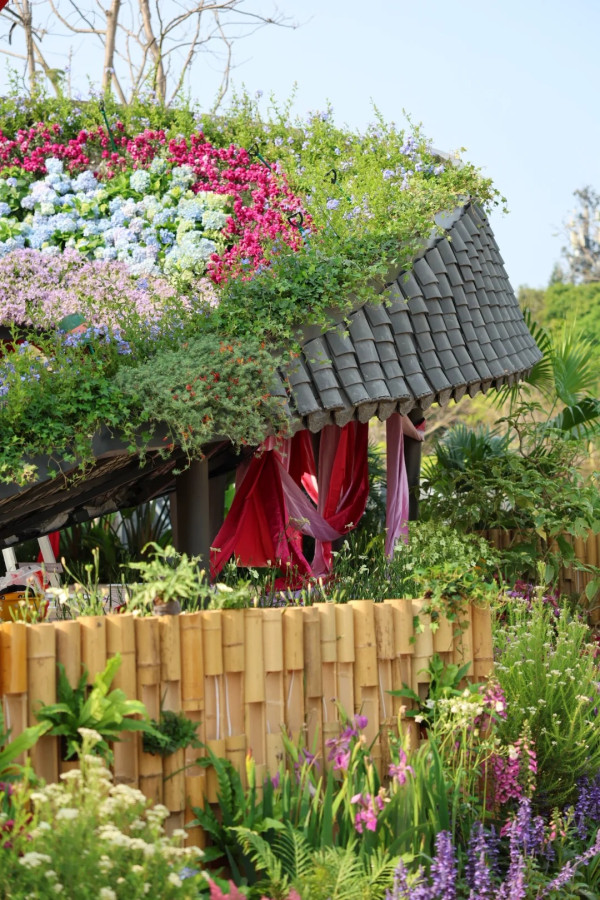 (圖片來源:小紅書@素年锦时📷) 2026粵港澳大灣區花展全攻略!必看莫奈花船、浪漫鳶尾花海