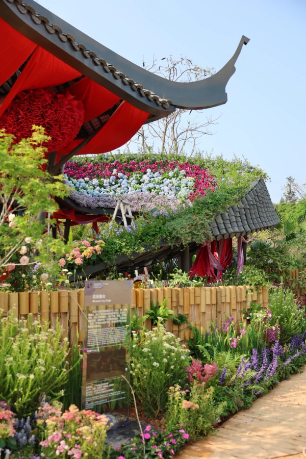 (圖片來源:小紅書@素年锦时📷) 2026粵港澳大灣區花展全攻略!必看莫奈花船、浪漫鳶尾花海