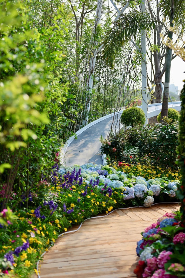 (圖片來源:小紅書@素年锦时📷) 2026粵港澳大灣區花展全攻略!必看莫奈花船、浪漫鳶尾花海