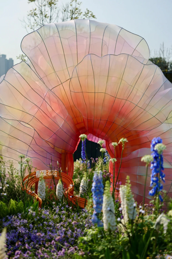 (圖片來源:小紅書@素年锦时📷) 2026粵港澳大灣區花展全攻略!必看莫奈花船、浪漫鳶尾花海