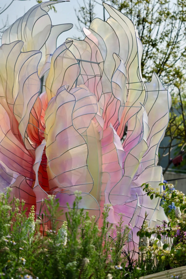 (圖片來源:小紅書@素年锦时📷) 2026粵港澳大灣區花展全攻略!必看莫奈花船、浪漫鳶尾花海