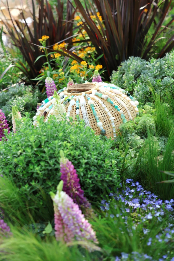 (圖片來源:小紅書@素年锦时📷) 2026粵港澳大灣區花展全攻略!必看莫奈花船、浪漫鳶尾花海