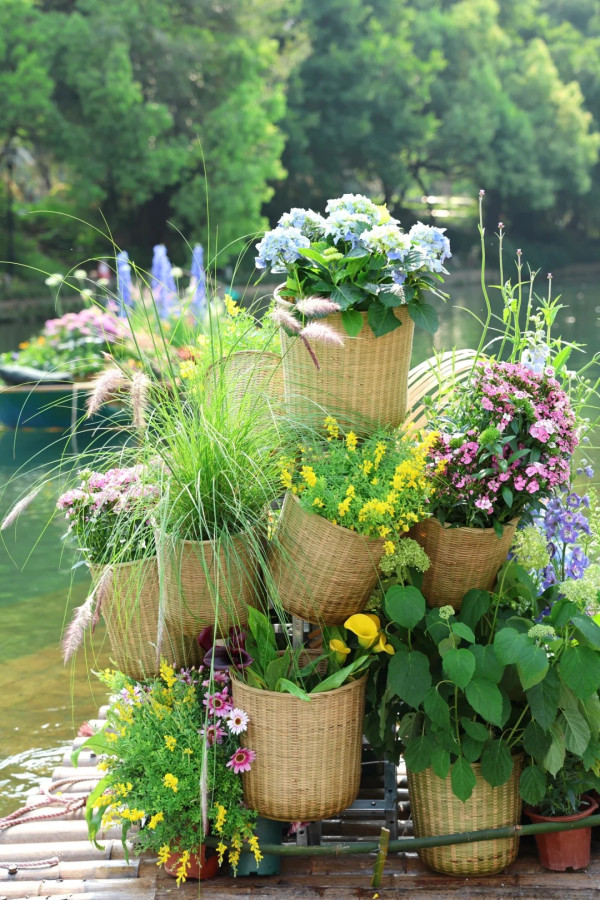 (圖片來源:小紅書@素年锦时📷) 2026粵港澳大灣區花展全攻略!必看莫奈花船、浪漫鳶尾花海