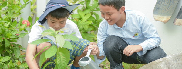 九龍區國際學校︰京斯敦國際學校學費（圖片來源︰京斯敦國際學校）