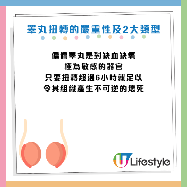 圖片資料來源：《紅星新聞》