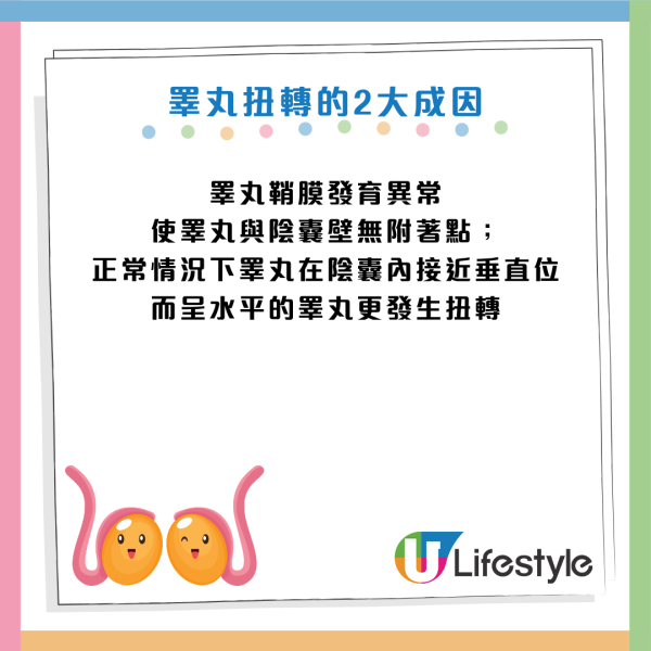 圖片資料來源：《紅星新聞》