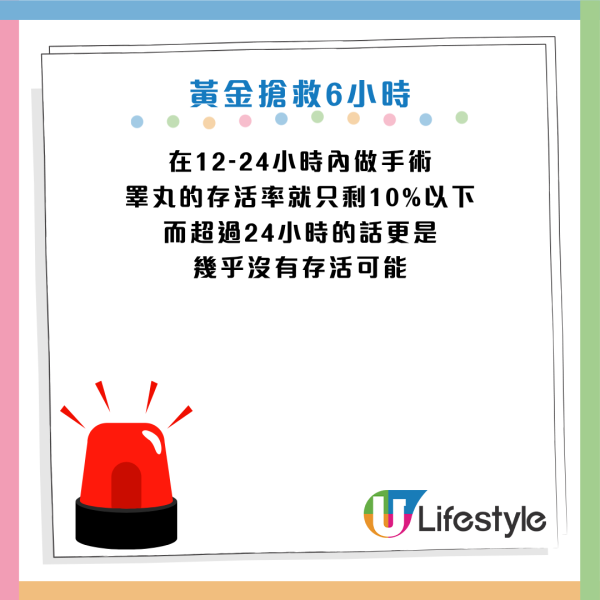 圖片資料來源：《紅星新聞》