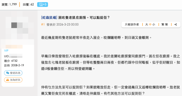 老鼠困廚房2日都唔走?事主實測7塊黐鼠板圍攻都無用!網民教一招火速捕鼠成功