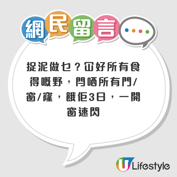 老鼠困廚房2日都唔走？事主實測7塊黐鼠板圍攻都無用！網民教一招火速捕鼠成功
