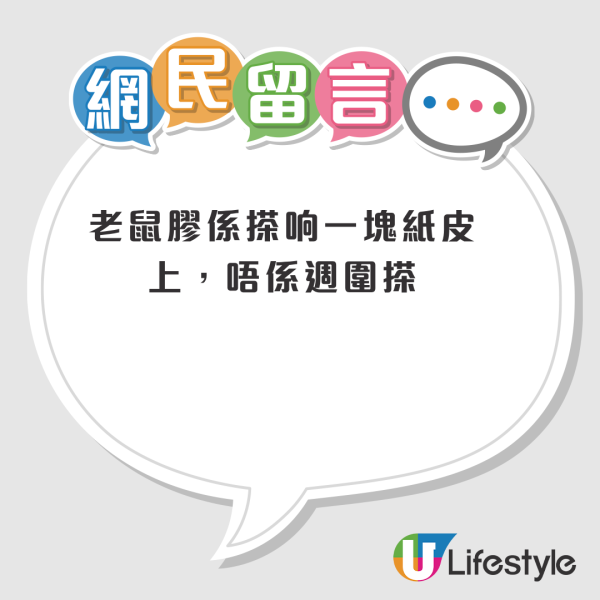 老鼠困廚房2日都唔走？事主實測7塊黐鼠板圍攻都無用！網民教一招火速捕鼠成功