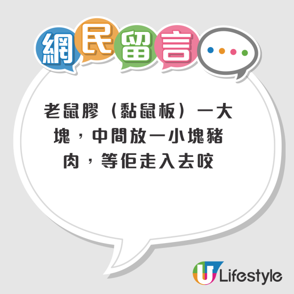 老鼠困廚房2日都唔走？事主實測7塊黐鼠板圍攻都無用！網民教一招火速捕鼠成功