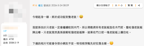 老鼠困廚房2日都唔走?事主實測7塊黐鼠板圍攻都無用!網民教一招火速捕鼠成功