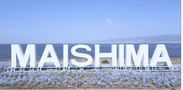 大阪舞洲粉蝶花祭2026|4.4 萬平方米藍色花海4月回歸 《葬送的芙莉蓮》蒼月草現實版