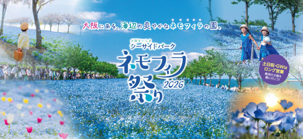 大阪舞洲粉蝶花祭2026|4.4 萬平方米藍色花海4月回歸 《葬送的芙莉蓮》蒼月草現實版