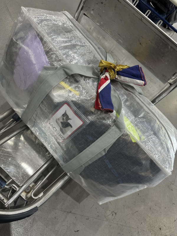 台女實測3Coins行李袋22KG寄艙完好無缺！網民加推IKEA旅行必備「神袋」 