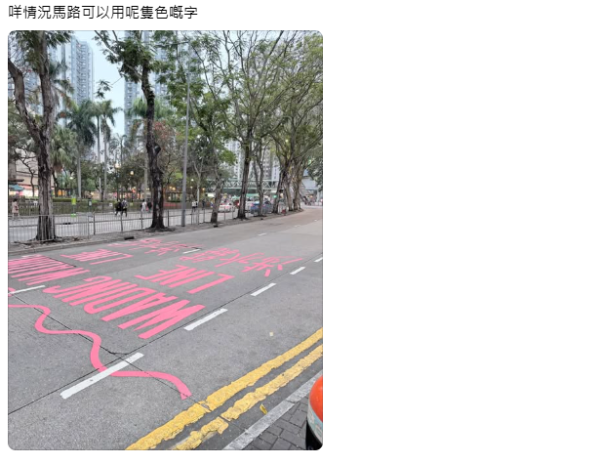 馬路神秘「粉紅標記」有咩用？政府揭防水浸用途：全港得5個試點