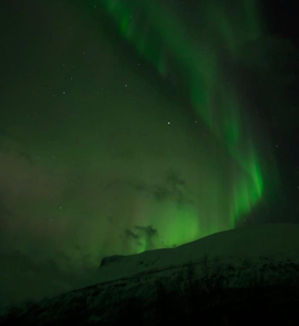 照片來源:Instagram@jacquelinchng 照片來源:Instagram@jacquelinchng