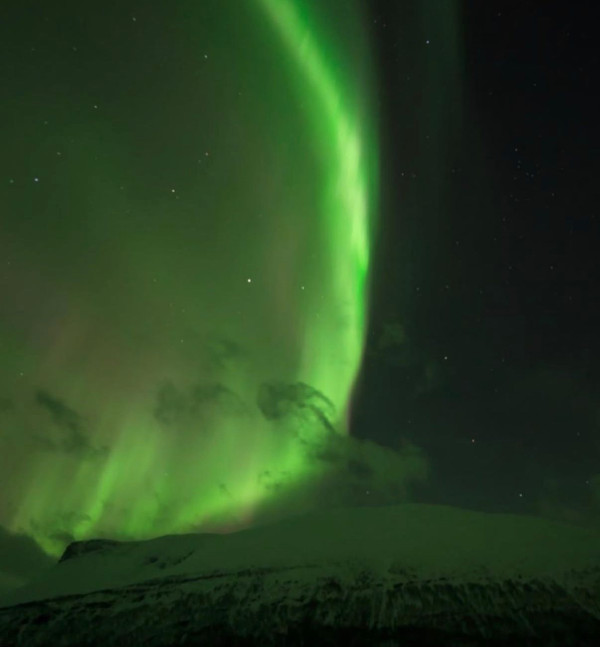 照片來源:Instagram@jacquelinchng 照片來源:Instagram@jacquelinchng