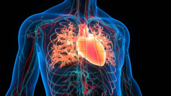 20歲女體重高達220磅關鍵在1睡覺習慣！糖尿病高血壓全都關事／醫生:摧毀代謝功能