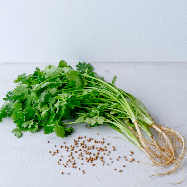 廚房食材變風水寶物！蘇民峰教「食物改運法」：海鹽化病位／門口擺呢種菜最旺財？呢類人食ＯＯ催谷健康運