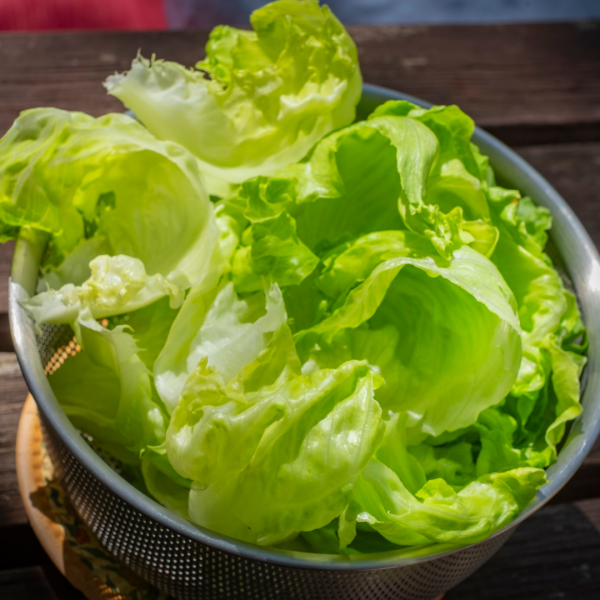 廚房食材變風水寶物！蘇民峰教「食物改運法」：海鹽化病位／門口擺呢種菜最旺財？呢類人食ＯＯ催谷健康運