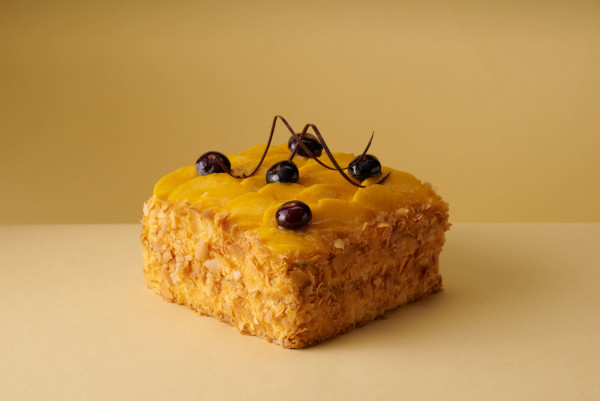 【免費試住】全新五星級酒店！設獨棟式Villa/寵物友善/私人花園 偽出國度假首選！