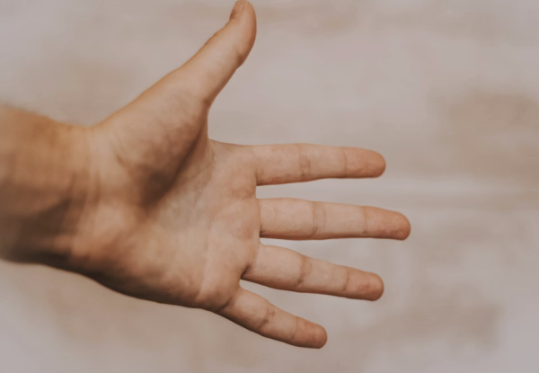 甚麼是「2D:4D比率」？圖片來源：Unsplash