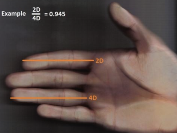 手指長度竟影響IQ高低？圖片來源：Facebook@基因醫師張家銘