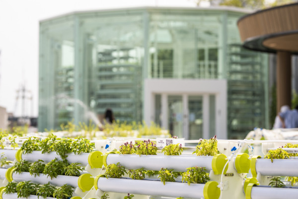 零難度睇日落！港鐵沿線6大無敵海景秘境 一出站行5分鐘即達