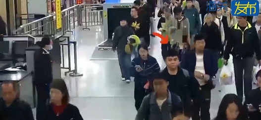 連假北上注意!女子背包藏59隻活寄居蟹闖拱北口岸被截 海關籲過關勿帶活體動物