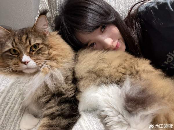 逐玉女主角是誰？田曦薇憑「殺豬女」爆紅！甜妹小花起底  與賴偉明緋聞最轟烈