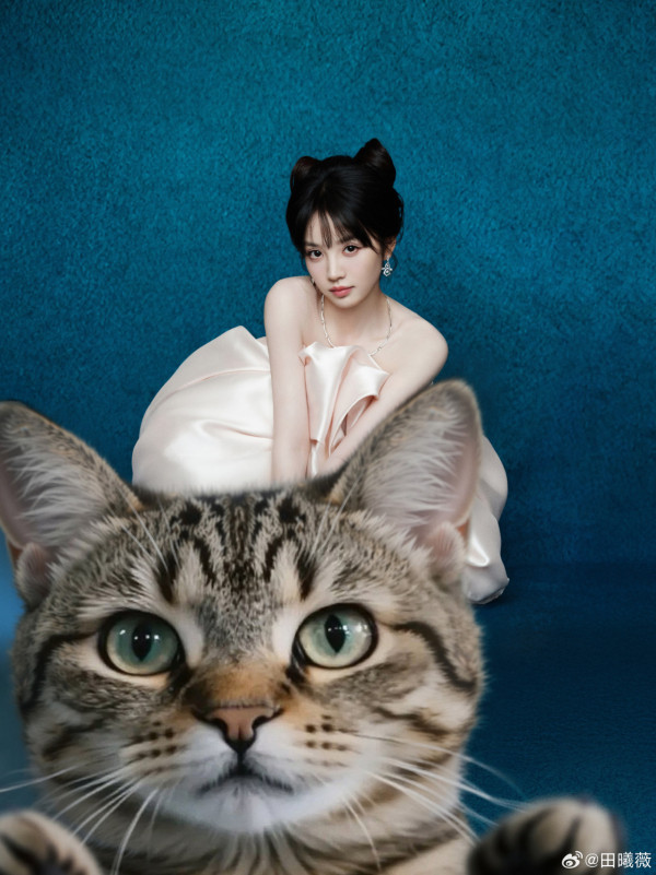 逐玉女主角是誰？田曦薇憑「殺豬女」爆紅！甜妹小花起底  與賴偉明緋聞最轟烈