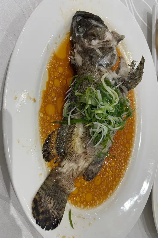 連鎖酒樓晚市8大優惠劈價！$8炸乳鴿＋$18脆皮雞＋$28蒸龍躉／指定優惠時段及分店