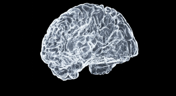 第二類則是「神經多樣性」（neurodivergent）人士，包括過度活躍症（ADHD）、自閉症、專注力不足等族群，甚至延伸至思維方式較非典型的人。圖片來源：Unsplash