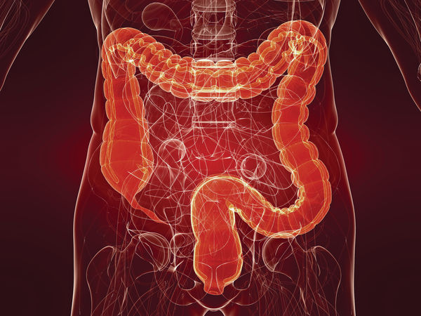 深圳照腸鏡超低價吸客?